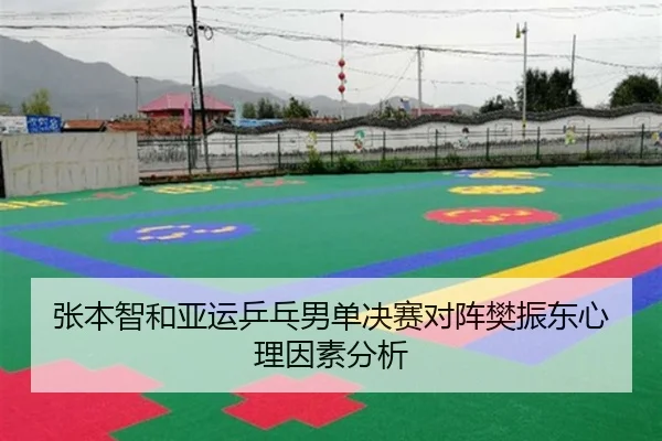 张本智和亚运乒乓男单决赛对阵樊振东心理因素分析